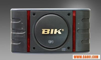 BIK BS998卡拉OK音箱批發(fā) 專(zhuān)業(yè)音響設(shè)備的高性?xún)r(jià)比選擇